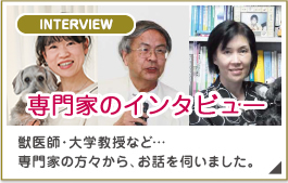 専門家へのインタビュー。獣医師・大学教授など、専門家の方々からお話を伺いました。