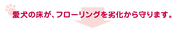 愛犬の床が、フローリングを劣化から守ります。