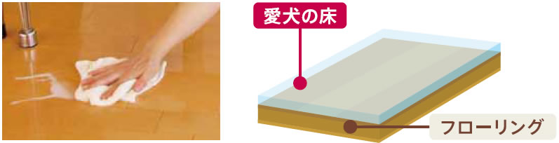 フロアコーティングを施した床にこぼれた牛乳を、雑巾を使って拭いている手。フロアコーティング 「愛犬の床」のフローリングへの塗装イメージ