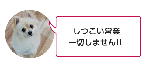 しつこい営業一切しません