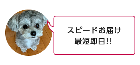スピードお届け、最短即日