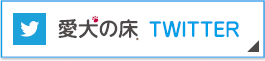 愛犬の床Twitterアカウント