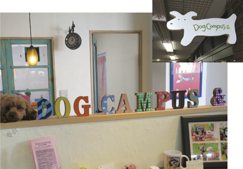 dogcampus_motosumi