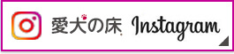 愛犬の床instagram