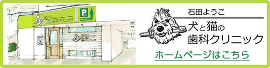 石田ようこ 犬と猫の歯科クリニックHP